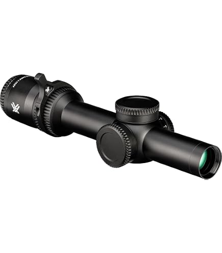 Amazon.com : Vortex Strike Eagle 1-6x24 Second Focal Plane